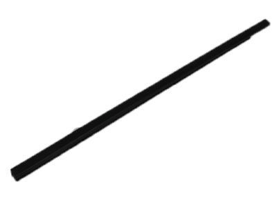 Dodge 55276202AE WEATHERSTRIP Door Belt