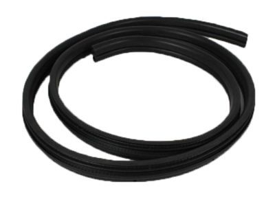 Mopar 55394044AC Seal Rear Door
