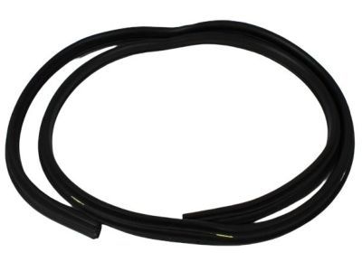 Dodge Ram 2500 Weather Strip - 55275608AE