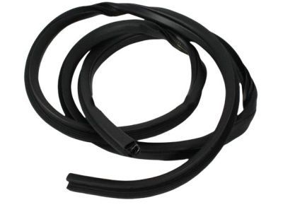 Dodge 55275608AE WEATHERSTRIP Door Opening