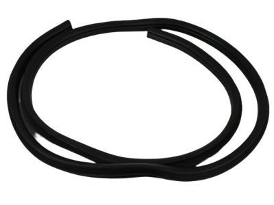 Dodge 55275608AE WEATHERSTRIP Door Opening