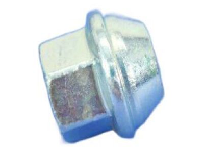 Dodge Magnum Lug Nuts - 4895430AB