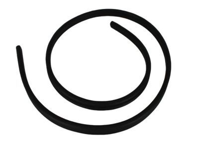 Mopar 55369015AF Weatherstrip Liftgate Glass