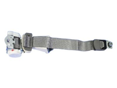 Mopar ZV721D5AB Outer Belt, Rear Passenger Side