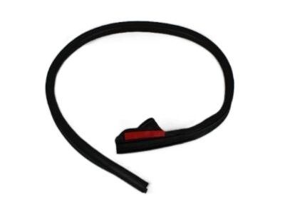 Dodge 55275437AB WEATHERSTRIP Body Side