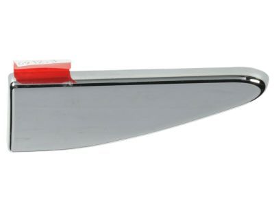 Ram Door Moldings - 5ZH31SZ0AA