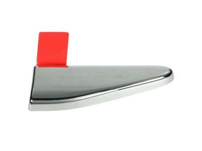 Ram 5ZH31SZ0AA MOLDING Body Side