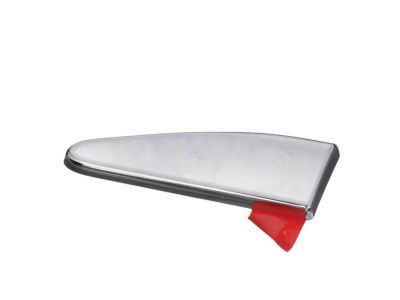 Ram 5ZH31SZ0AA MOLDING Body Side