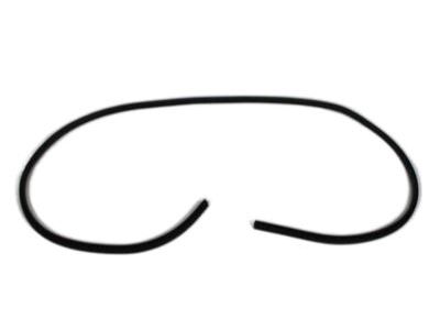 Ram 55112355AC Weatherstrip On Body