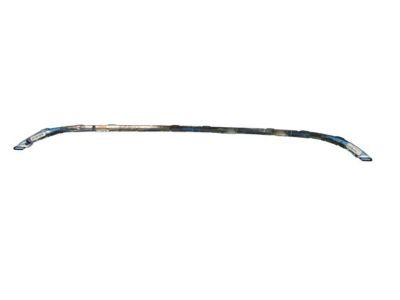 Mopar 68203029AB Upper Molding, Front