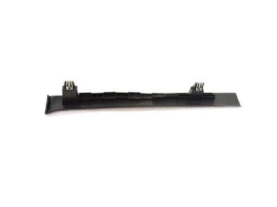 Dodge 1GN28XDVAE EXTENSION Cowl