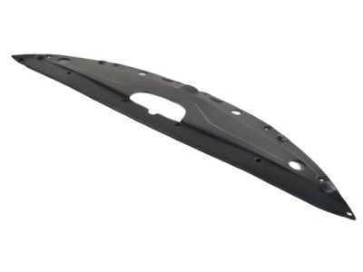 Chrysler 68110455AD Sight Shield