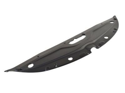 Chrysler 68110455AD Sight Shield