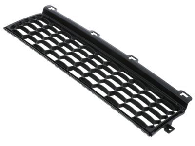 Mopar 5XB41LXHAA Lower Grille, Front Center