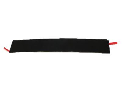 Ram 5020666AA APPLIQUE Sliding Door Outside B-Pillar