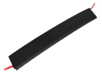 Ram 5020666AA APPLIQUE Sliding Door Outside B-Pillar