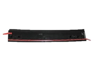 Ram 5020666AA APPLIQUE Sliding Door Outside B-Pillar