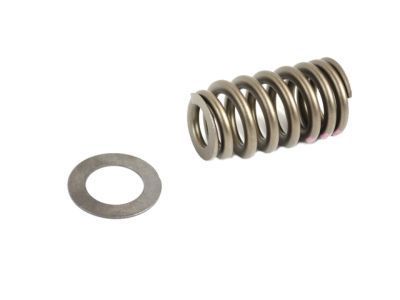 Ram 68080909AB Valve Springs
