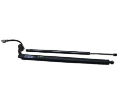 Mopar 68231347AA Motor And Gear Power Liftgate