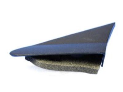 Dodge 5115659AB BEZEL MIRROR