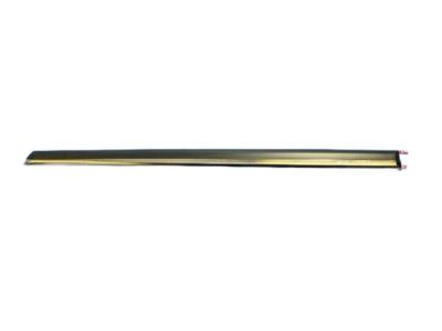 Mopar 1DX25AXRAA Molding Rear Door