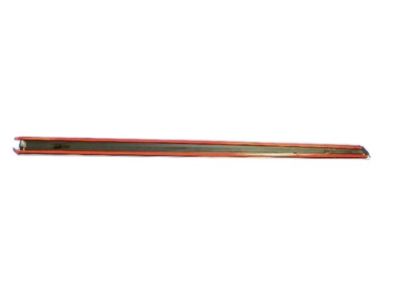 2008 Dodge Magnum Door Moldings - 1DX25AXRAA