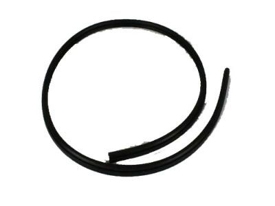 Dodge 5160346AA Body Weatherstrip