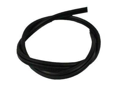 2020 Dodge Challenger Door Seal - 5160346AA