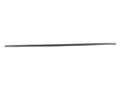 Mopar WG19WS2AC Body Side Molding, Silver, Front Driver Side