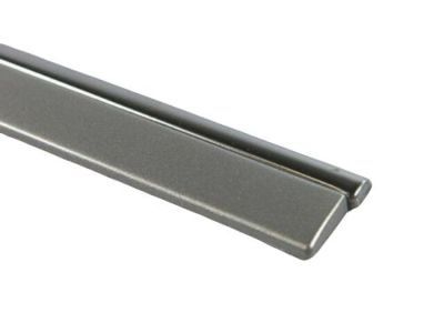 Mopar WG19WS2AC Body Side Molding, Silver, Front Driver Side
