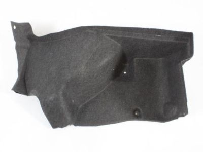 Dodge 4662031AC CARPET Luggage Compartment
