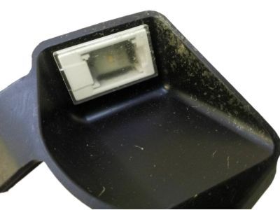 Chrysler 55057408AA LAMP Puddle LED