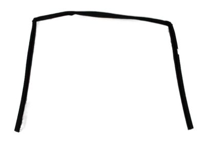 Ram 4894928AF CHANNEL Front Door Glass