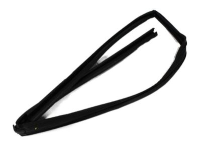 Ram 4894928AF CHANNEL Front Door Glass