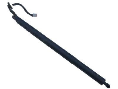 Mopar 68158562AA Motor Liftgate