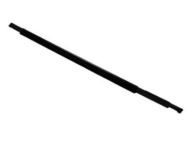 Chrysler 5054168AH WEATHERSTRIP Front Door Belt