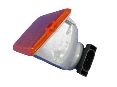 Jeep 55157032AA LAMP Park and Turn Signal