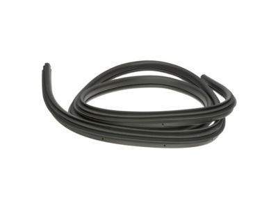 Dodge 55277294AA WEATHERSTRIP Door Opening