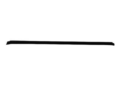 Dodge 55275504AC WEATHERSTRIP Door Belt