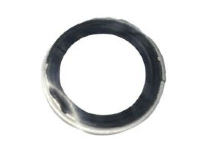 Dodge 68157479AA Suction Hose O-Ring
