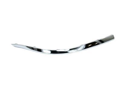 Mopar 68143463AB Applique, Rear Driver Side