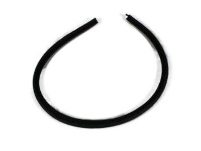 2004 Dodge Dakota Weather Strip - 55255886