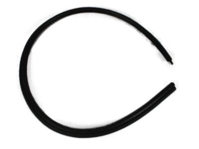 Dodge 55255886 SEAL Quarter Window