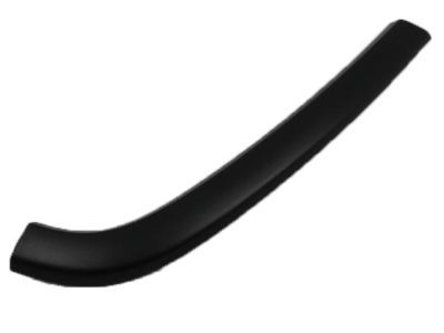 Jeep 1MP37RXFAD MOLDING Rear Door