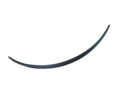 Dodge 68141572AC WEATHERSTRIP Door Opening