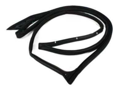 Ram 55112357AG WEATHERSTRIP Front Door Mounted