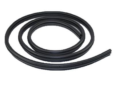 Jeep Commander Weather Strip - 55396676AH