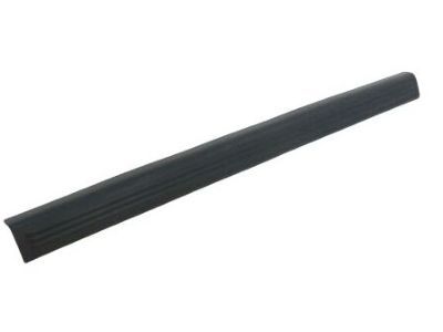 Dodge 1FS99XDVAD MOLDING Door Sill Scuff Front