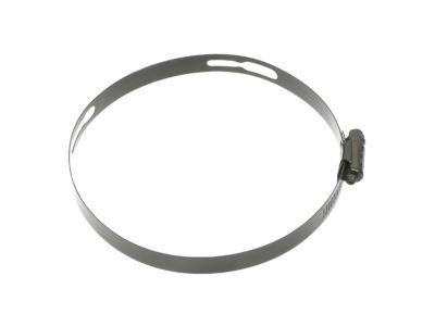 Mopar 68175280AA Hose Clamp