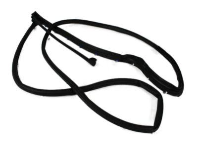 Ram 55112375AH Surround Weatherstrip